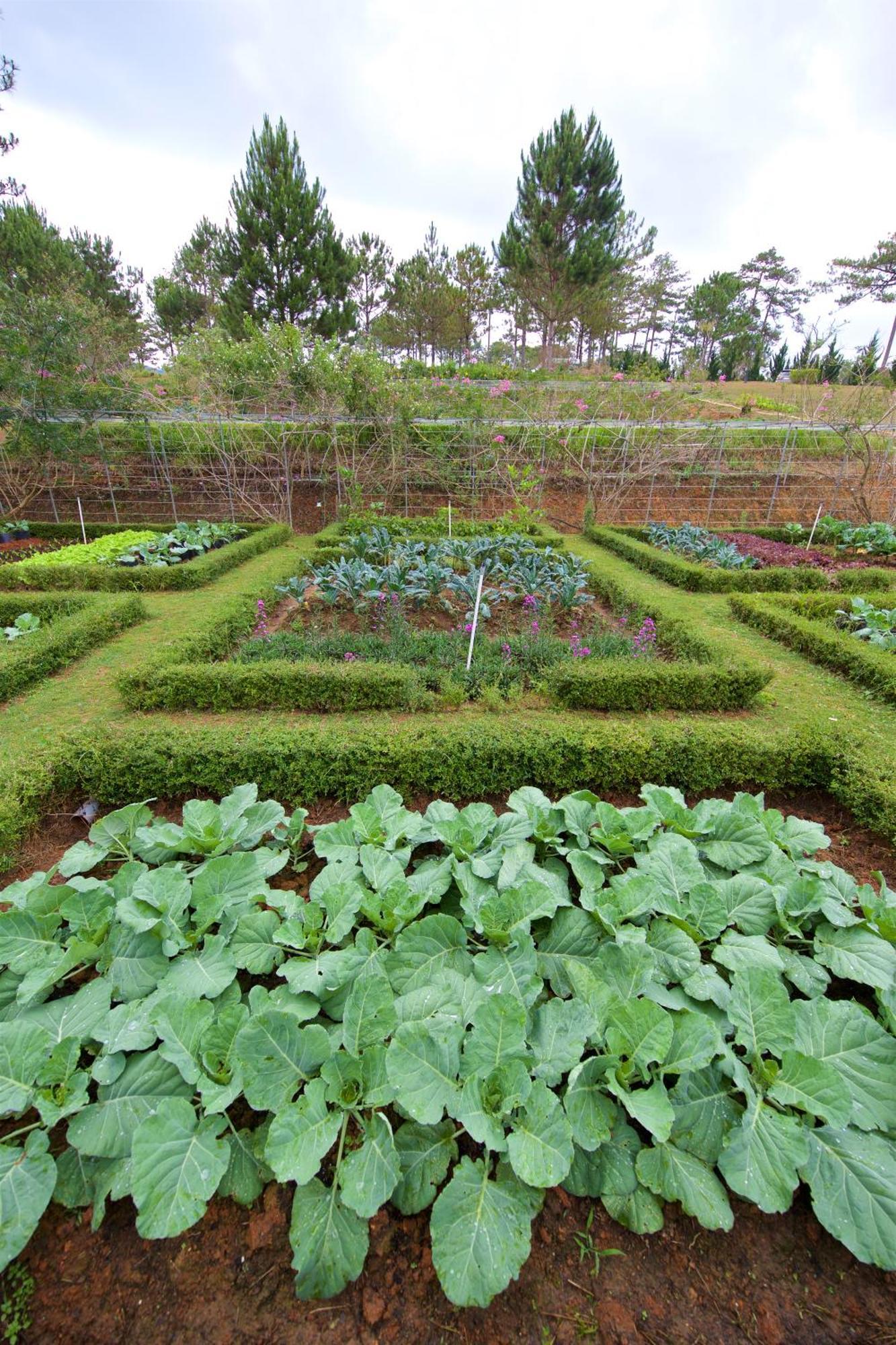 Binh An Village Resort Da Lat Dış mekan fotoğraf